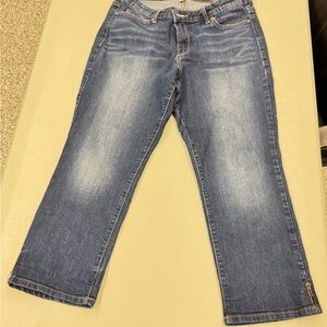 Vintage America Blues Boho Distressed Cropped Pants Denim Jeans size 12/31